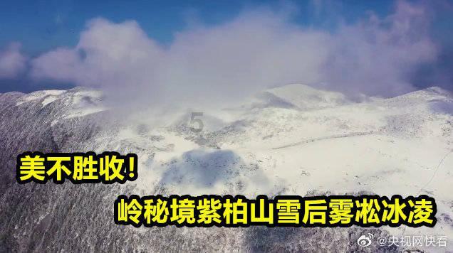 1975的兔今年有真心爱的人吗游戏画面