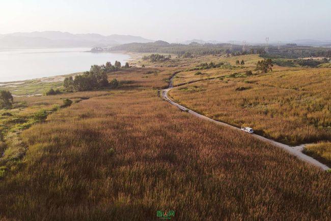 爱丽丝和闺蜜
