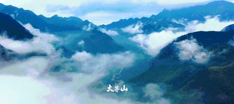 逃离幽灵之森