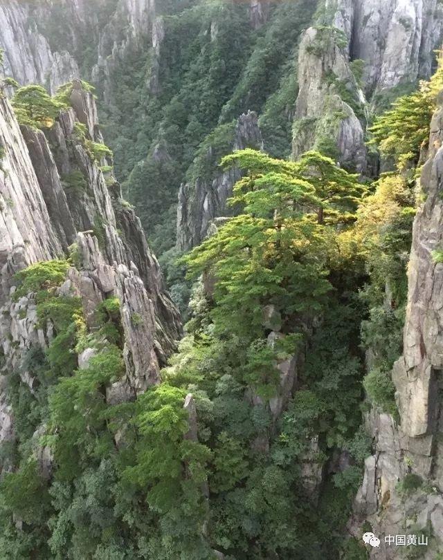 山西省左云县发布寒潮橙色预警