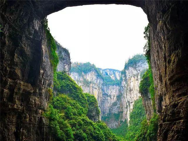 救援可爱的洋葱